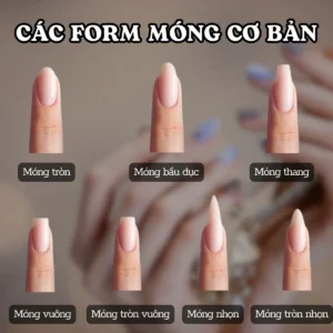 Móng úp