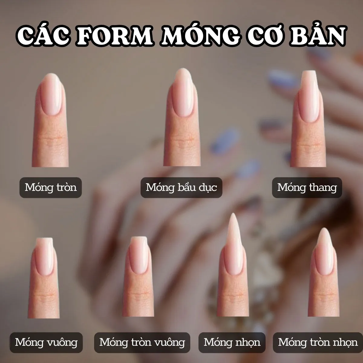 Móng úp